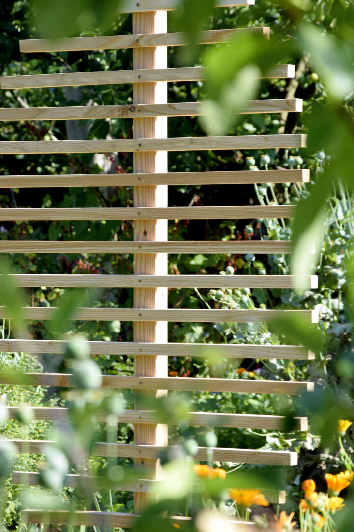 dobar Design Rankhilfe in Blattform "fagus"